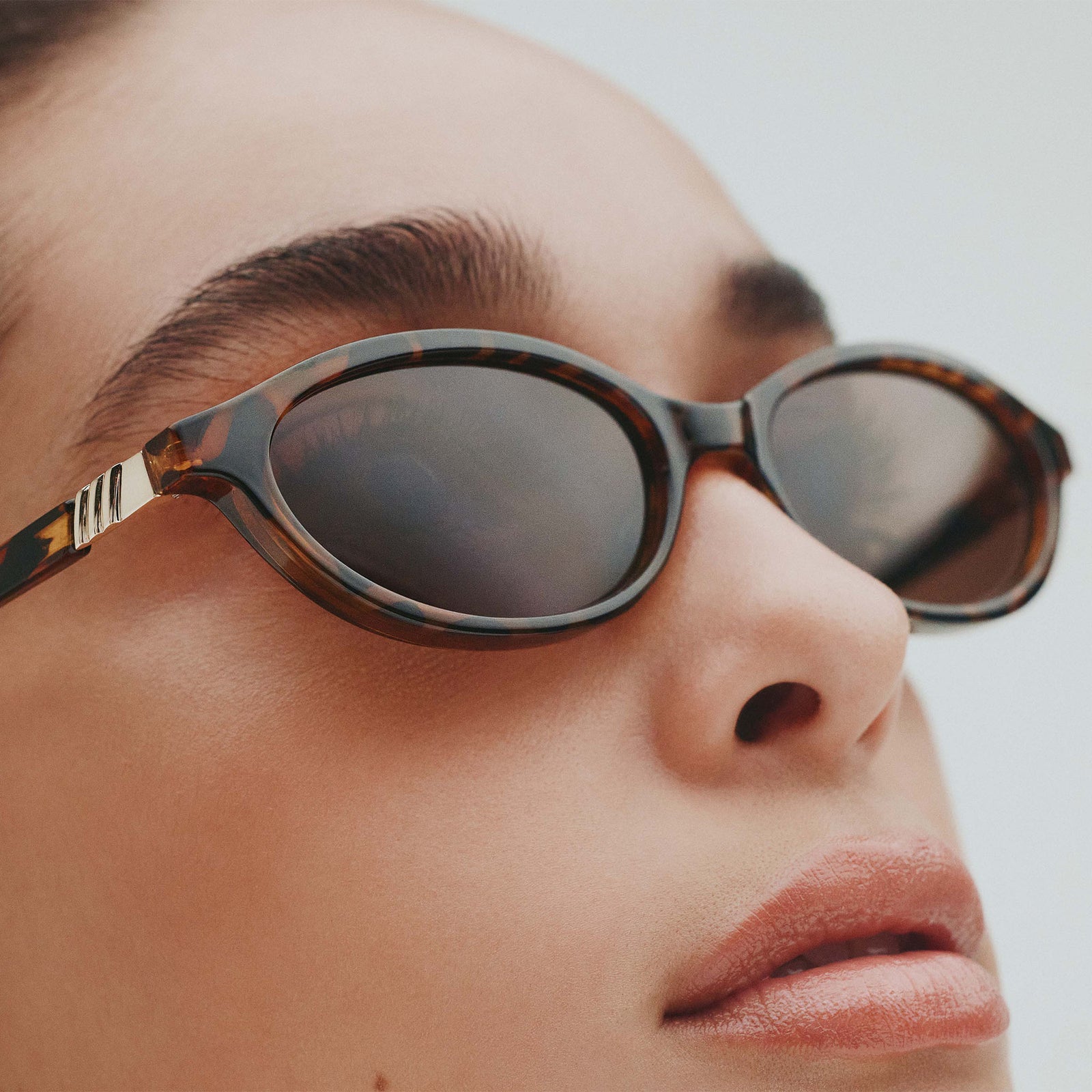 Duskfall Tort Female Oval Sunglasses | Le Specs